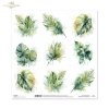 Monstera, liście palmowe, palma, bananowiec, liście tropikalne, egzotyka, akwarela